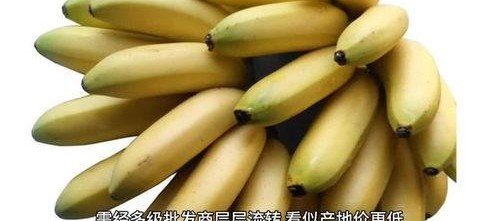 国产在线大香蕉,揭秘国内热门影视平台背后的故事